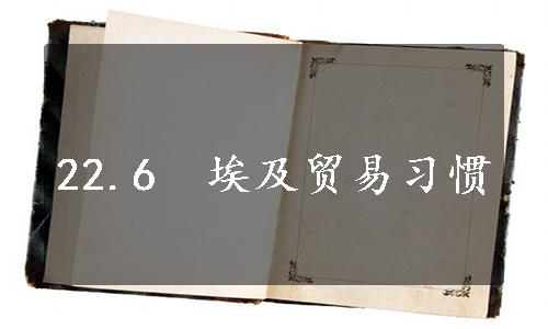 22.6　埃及贸易习惯