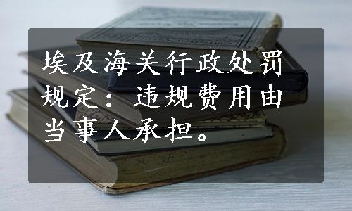 埃及海关行政处罚规定：违规费用由当事人承担。