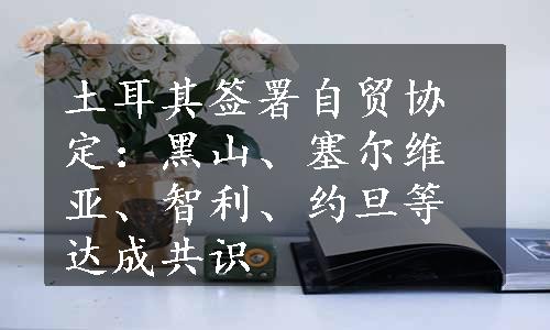 土耳其签署自贸协定：黑山、塞尔维亚、智利、约旦等达成共识