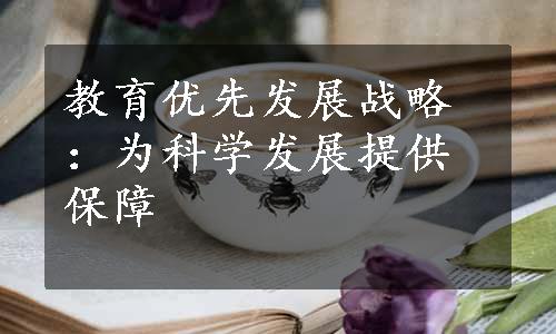 教育优先发展战略：为科学发展提供保障