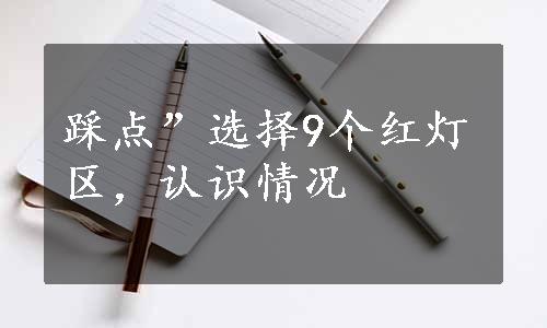 踩点”选择9个红灯区，认识情况