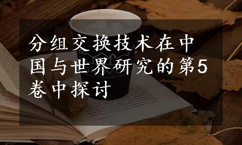 分组交换技术在中国与世界研究的第5卷中探讨