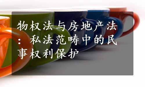 物权法与房地产法：私法范畴中的民事权利保护