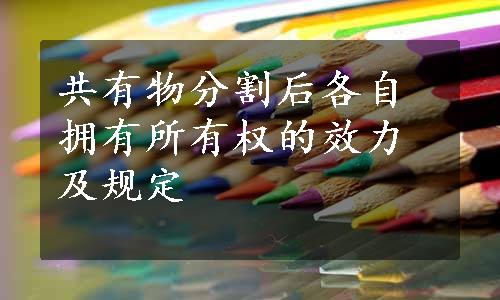 共有物分割后各自拥有所有权的效力及规定