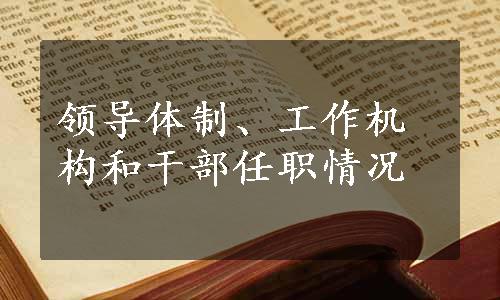 领导体制、工作机构和干部任职情况