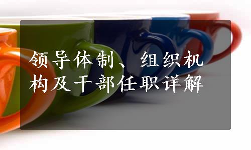 领导体制、组织机构及干部任职详解