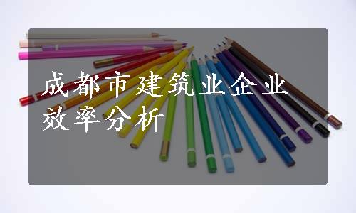 成都市建筑业企业效率分析