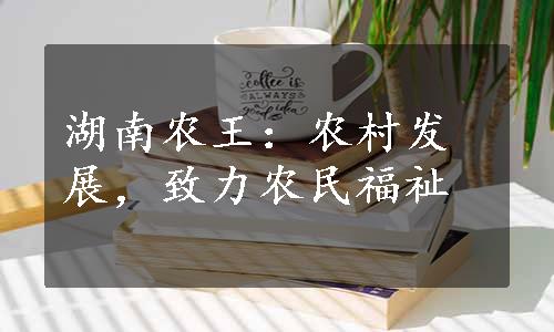 湖南农王：农村发展，致力农民福祉