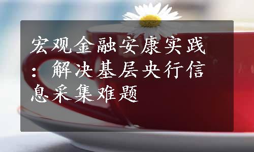 宏观金融安康实践：解决基层央行信息采集难题