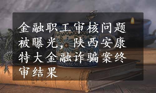 金融职工审核问题被曝光，陕西安康特大金融诈骗案终审结果