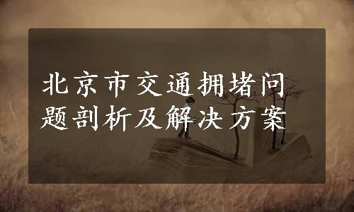 北京市交通拥堵问题剖析及解决方案