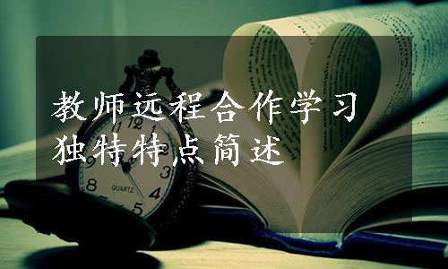 教师远程合作学习独特特点简述