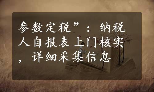 参数定税”：纳税人自报表上门核实，详细采集信息