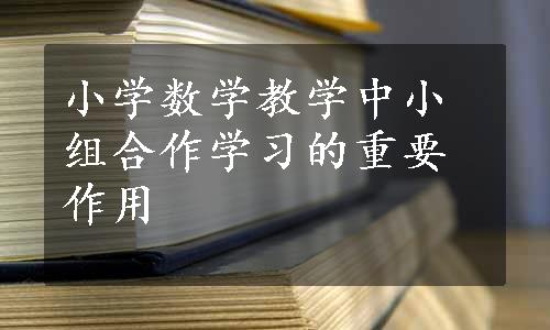 小学数学教学中小组合作学习的重要作用