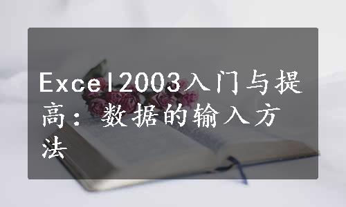 Excel2003入门与提高：数据的输入方法