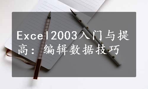 Excel2003入门与提高：编辑数据技巧