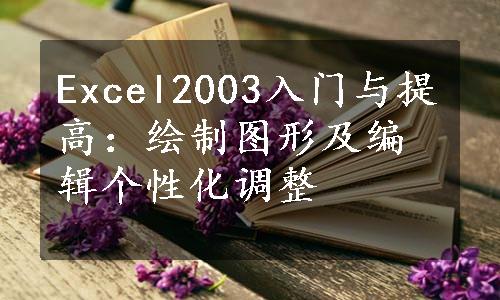 Excel2003入门与提高：绘制图形及编辑个性化调整