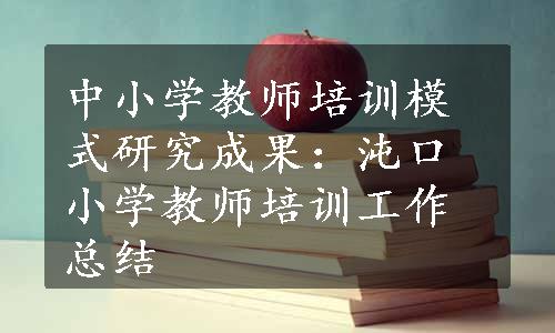 中小学教师培训模式研究成果：沌口小学教师培训工作总结