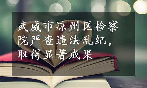 武威市凉州区检察院严查违法乱纪，取得显著成果