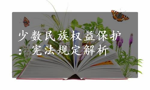 少数民族权益保护：宪法规定解析