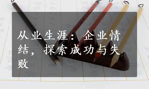 从业生涯：企业情结，探索成功与失败