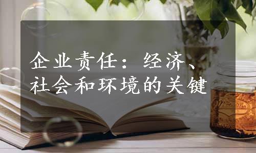 企业责任：经济、社会和环境的关键