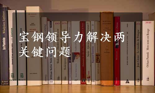 宝钢领导力解决两关键问题