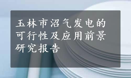 玉林市沼气发电的可行性及应用前景研究报告