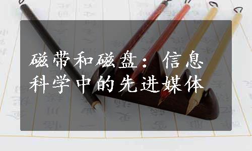 磁带和磁盘：信息科学中的先进媒体