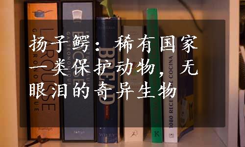 扬子鳄：稀有国家一类保护动物，无眼泪的奇异生物