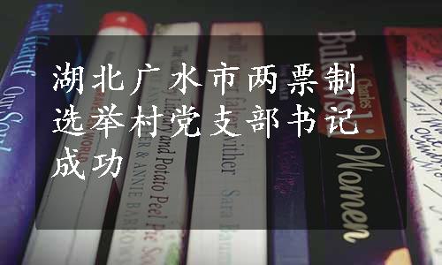 湖北广水市两票制选举村党支部书记成功