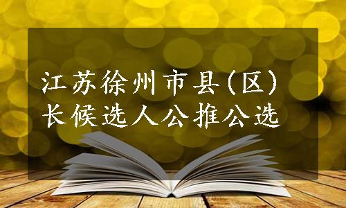 江苏徐州市县(区)长候选人公推公选