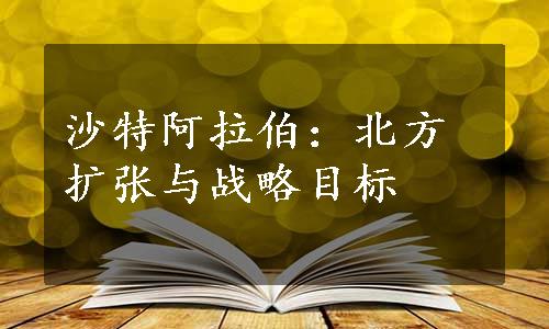 沙特阿拉伯：北方扩张与战略目标