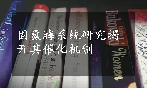 固氮酶系统研究揭开其催化机制