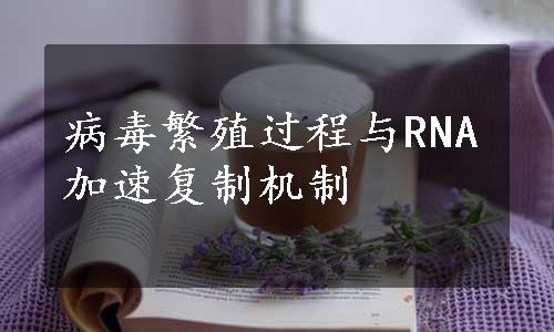 病毒繁殖过程与RNA加速复制机制