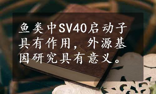 鱼类中SV40启动子具有作用，外源基因研究具有意义。