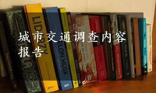 城市交通调查内容报告