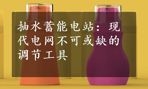 抽水蓄能电站：现代电网不可或缺的调节工具