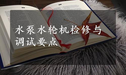 水泵水轮机检修与调试要点