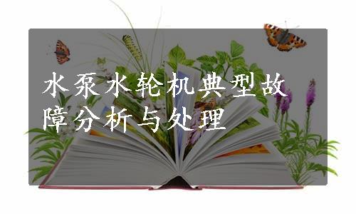 水泵水轮机典型故障分析与处理