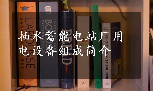 抽水蓄能电站厂用电设备组成简介