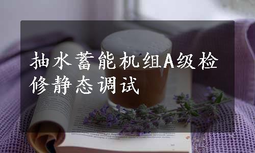 抽水蓄能机组A级检修静态调试