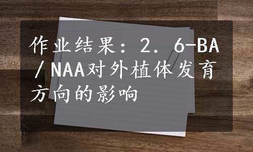 作业结果：2．6-BA／NAA对外植体发育方向的影响