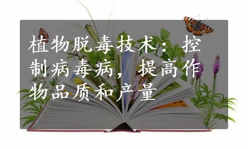 植物脱毒技术：控制病毒病，提高作物品质和产量