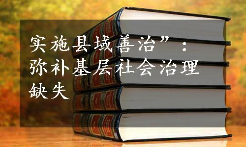 实施县域善治”：弥补基层社会治理缺失