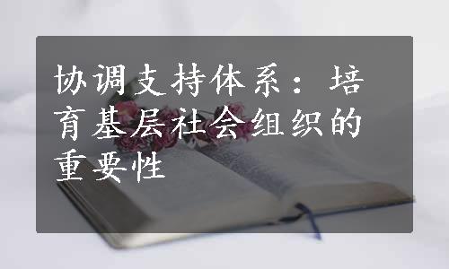 协调支持体系：培育基层社会组织的重要性