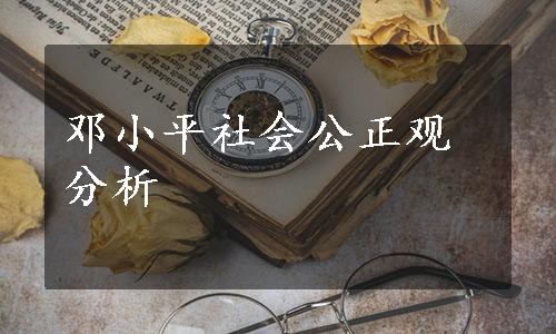 邓小平社会公正观分析