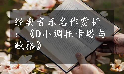 经典音乐名作赏析：《D小调托卡塔与赋格》