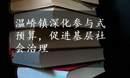 温峤镇深化参与式预算，促进基层社会治理