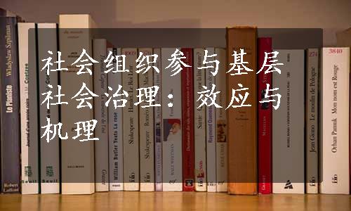 社会组织参与基层社会治理：效应与机理